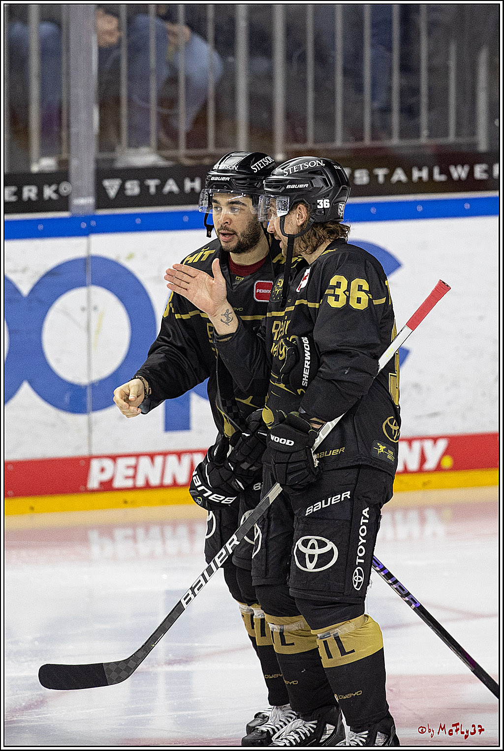 PENNY DEL;  Koelner Haie - Bietigheim Steelers; Koeln, 05.03.2023